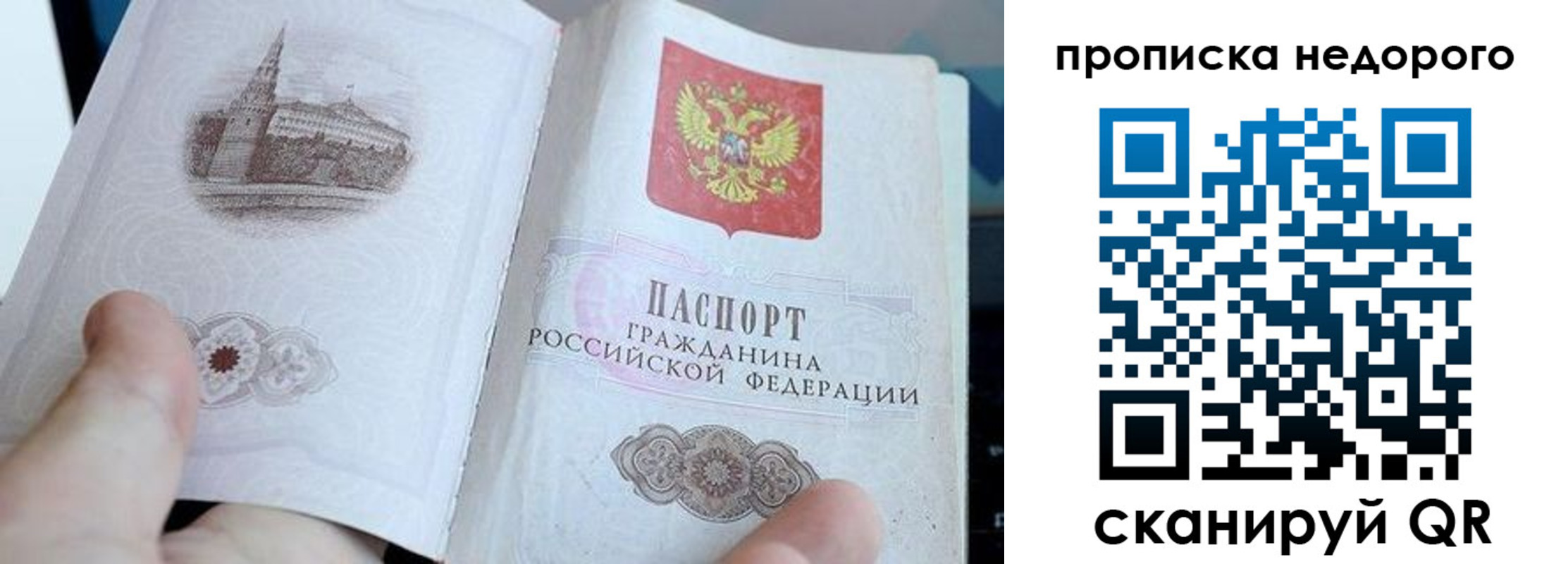 пропишу в квартире в Смоленской области